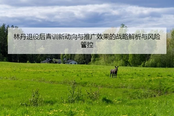 lin-dan-tui-yi-hou-qing-xun-xin-dong-xiang-yu-tui-guang-xiao-guo-de-zhan-lve-jie-xi-yu-feng-xian-guan-kong-2-238.jpg
